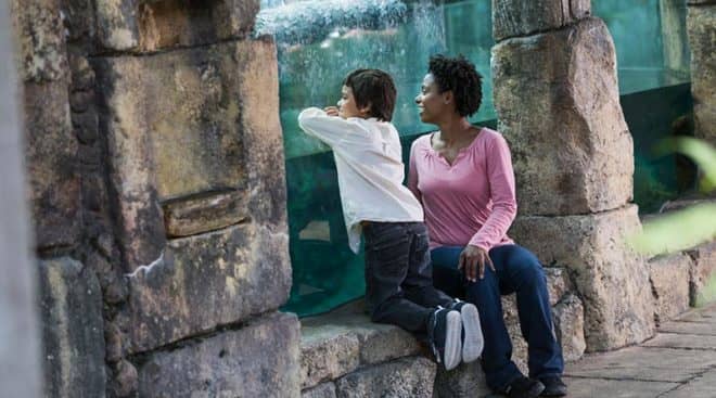 Child Support Attorneys in Wisconsin